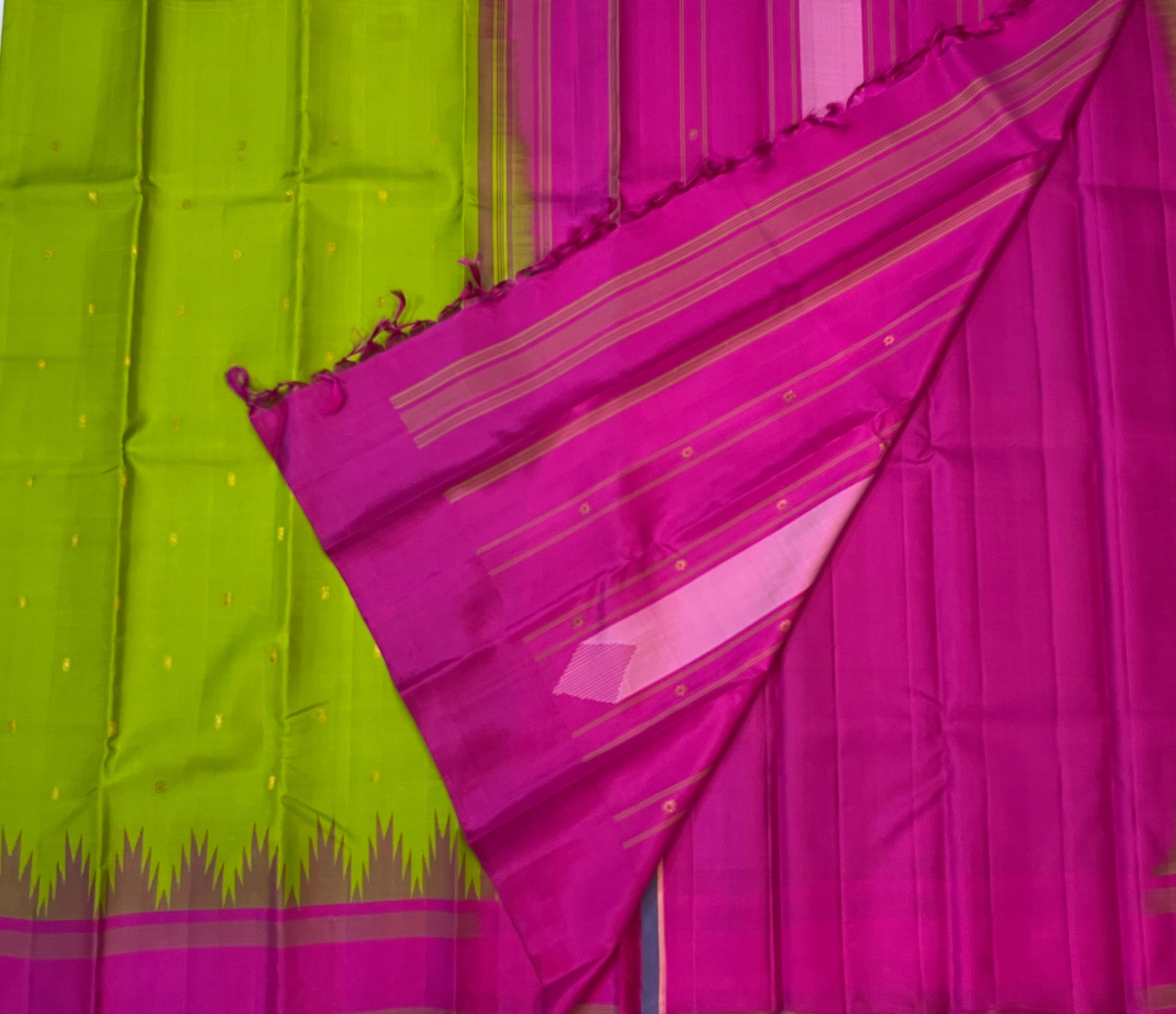 Parrot Green with Rani Pink Contrast Elegance