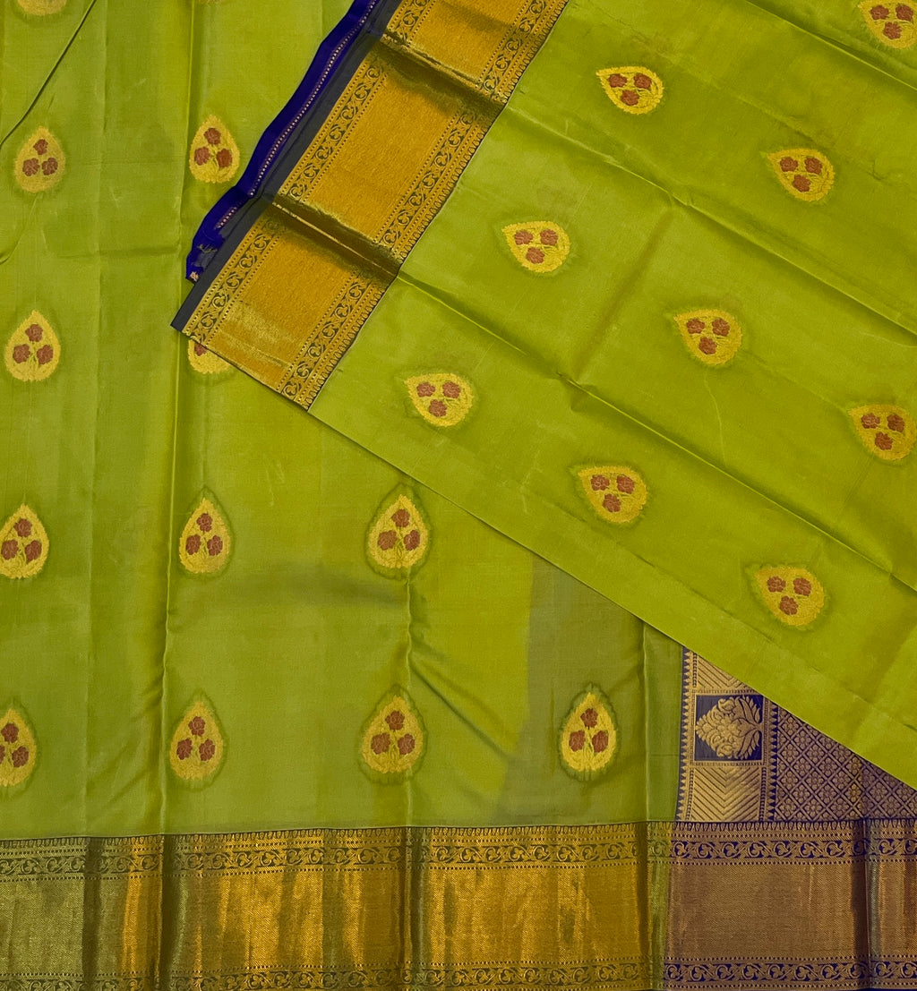 Parrot Green with Royal Blue Contrast Elegance